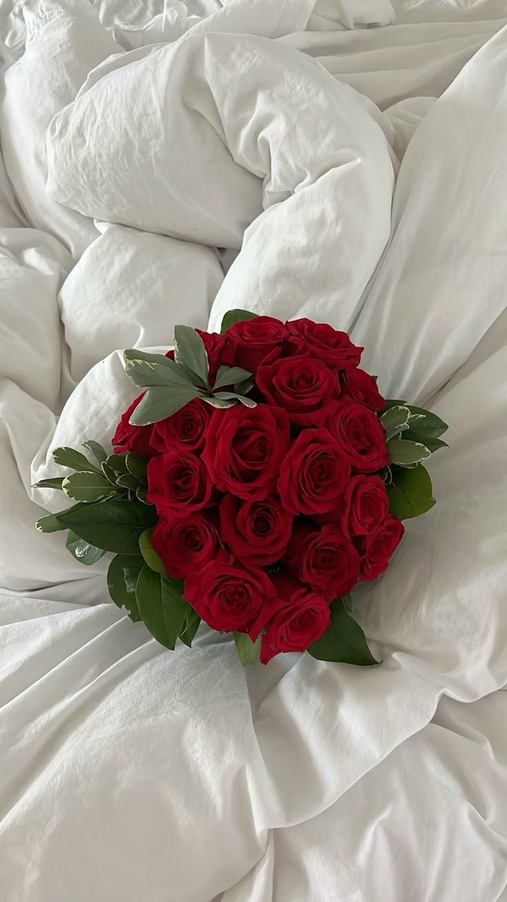 Velvet Blossom Symphony in Red